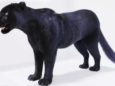 Realistic Fur Panther 02 3D Model NO RIG Low-poly 3D model