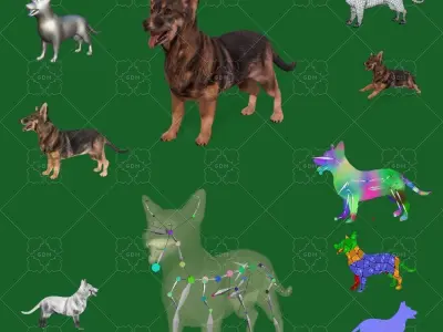 Swedish Vallhund Dog Low-poly 3D model