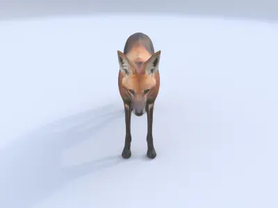 Maned Wolf 3D model