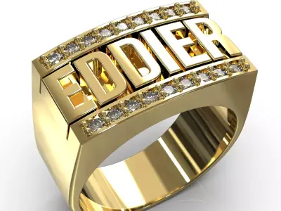 Eddier ring 3D print model