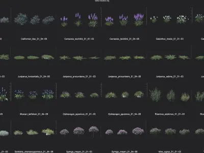 Maxtree Plant Models Vol 84 - Mesh 3D model