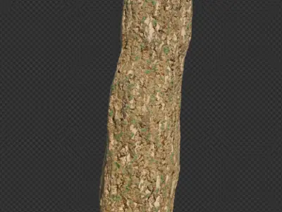  stylized environment asset low poly game ready  3D model