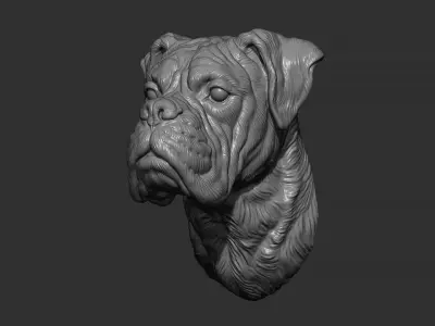 Deutscher Boxer bust 3D print model