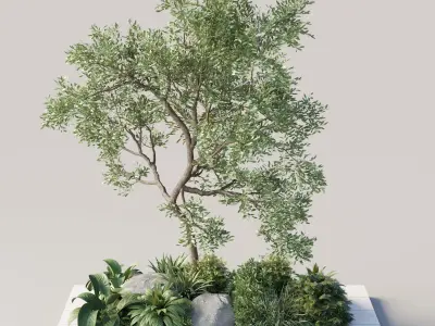 Plants Garden Outdoor plant Collection 140 Low-poly 3D model