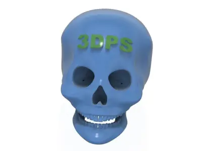 Logotip on Human Skull 3D print model