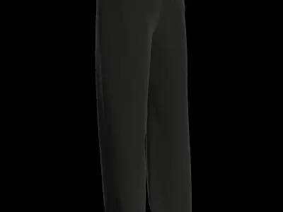 Male sweatpants 3D model