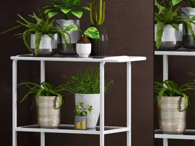 Decorative plant set-36 3D model