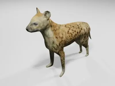 Hyena low and high poly - Hiena Low-poly 3D model