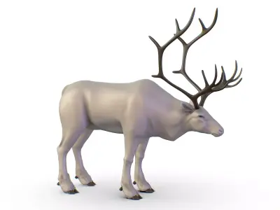 High Poly Realistic Reindeer 3D model