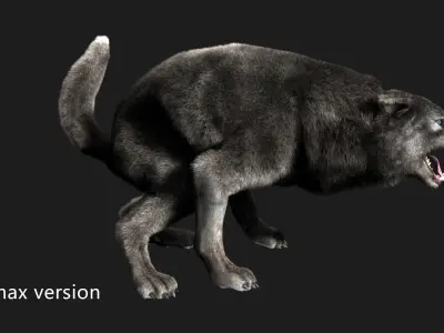 wolf wild dog husky beast howl hair Low-poly 3D model