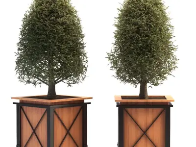 Outdoor Plant 01 3D model