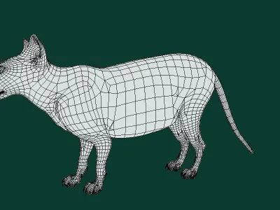 Fossa Animal 3D model