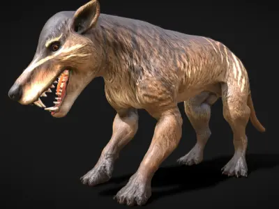 Hyaenodon gigas  Apex Predator of the Eocene Low-poly 3D model