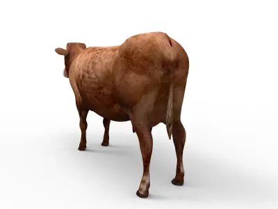 Brown Cow Cattle  Low-poly 3D model