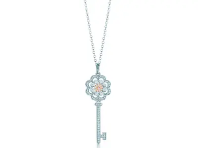 TK-006 key necklace with diamonds 3D print model