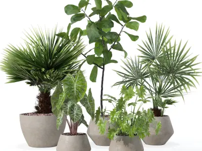 20 Photorealistic Flowers for Interiors - set 119 127 124 126 3D Model Collection