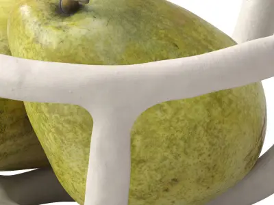 Nested bowl with pears 3D model