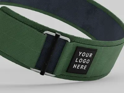 Lever belt lifting belt for gym 3D model