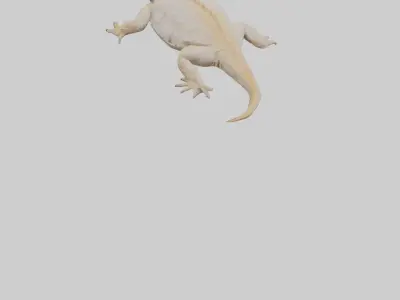 Bearded Dragon basking model 3D model