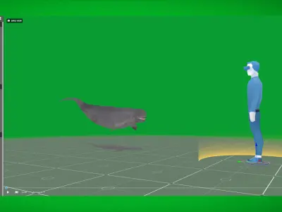 Yangtze Finless Porpoise Low-poly 3D model