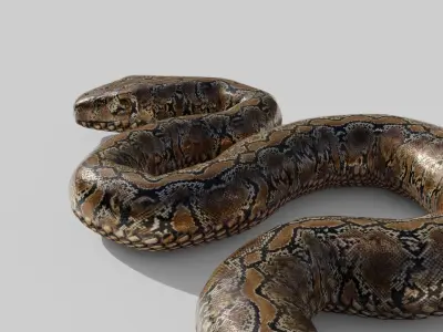 Python Snake - Low Poly -  Game Ready - PBR Low-poly 3D model