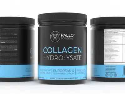 Protein Powder 3D model 123