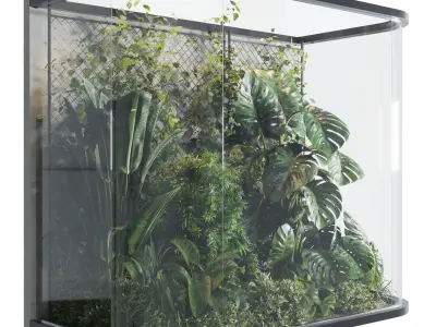 Plants Behind Galss 03 indoor garden Low-poly 3D model