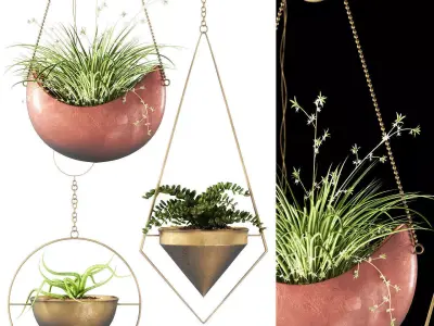 Hanging plants 143 3D model