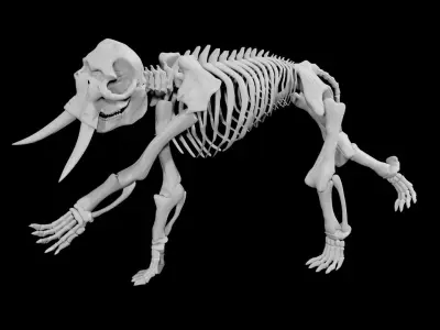 Elephant skeleton Low-poly 3D model
