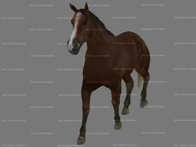 Horse Animated 3D model