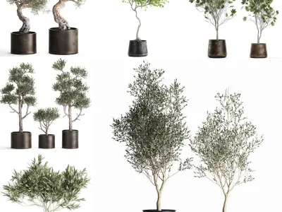 Collection of decorative trees 31 pieces 3D model