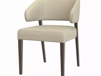 Kaya Dining Chair 3D model