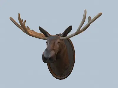 Moose Head Taxidermy Low-poly 3D model