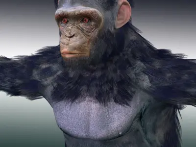 Chimpanzee Ape Rig 3D model
