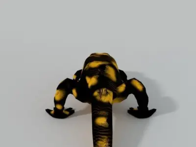 Salamander gecko Low-poly 3D model