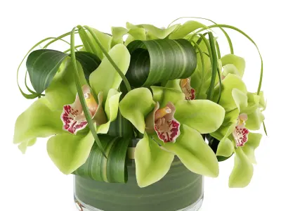 Bouquet of orchids 3D model