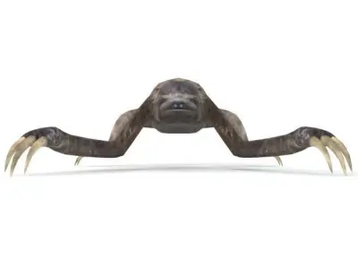 Sloth with claws Low-poly 3D model