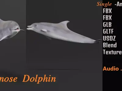 Bottlenose Dolphin 3D model