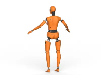 Crash Test Dummy  Robot Android  3D model Female 3D model