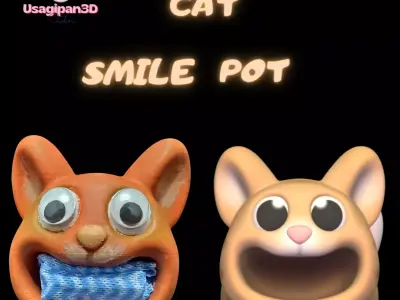 Cat Smile Pot 3D print model