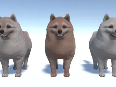 Dog - Pomeranian Spitz Low-poly 3D model