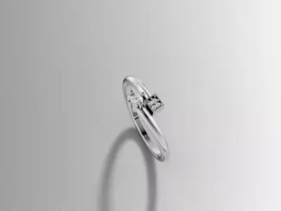 Gold Double Setting Diamond Ring 3D Printable Design 3D print model