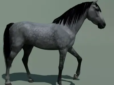 Animated Horse 10 colours 3D model