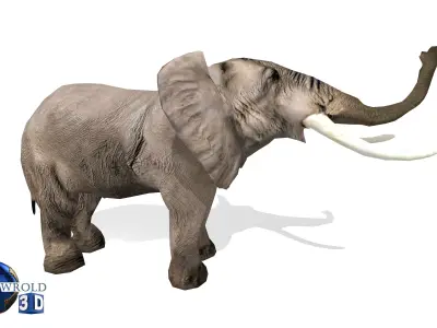 Elephant Rigged Animated Lowpoly 3d model Low-poly 3D model