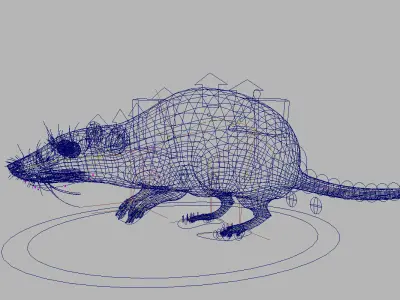 rat 3d model fur 3D model