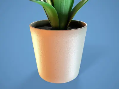Potted Succulent 3D model