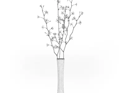 Flowering Tree Twigs in Glass Vase 3D model