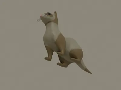 Ferret 3D model