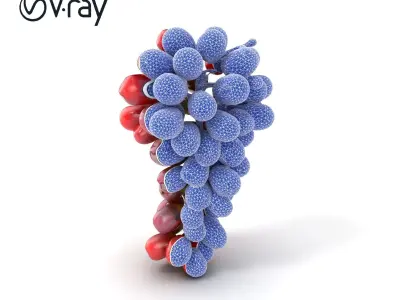 Realistic Red Grape Bunch 3D model pack Low-poly 3D model