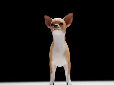 CHIHUAHUA FLEX 3D model